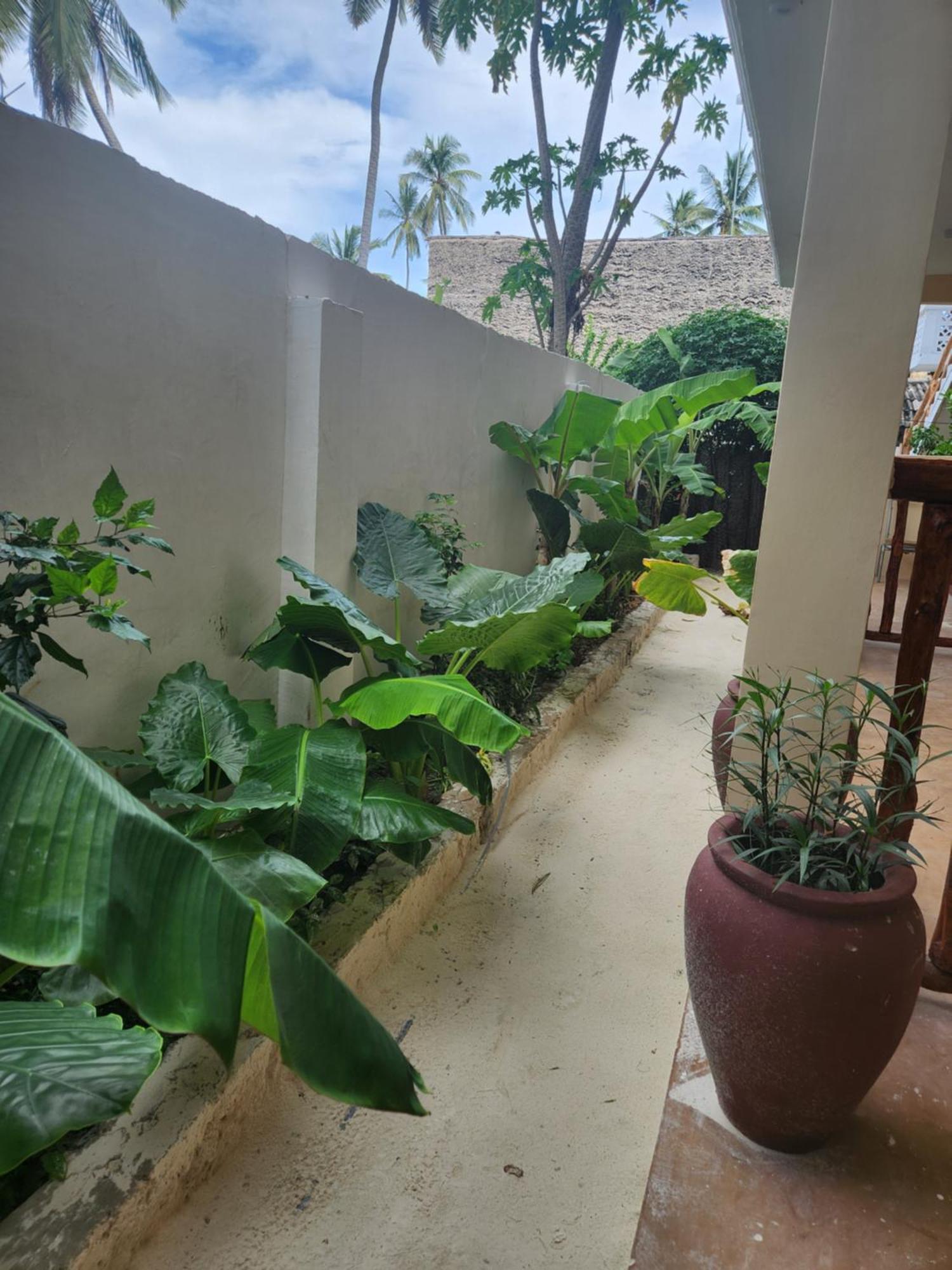 Hotel Two Palms à Jambiani  Extérieur photo