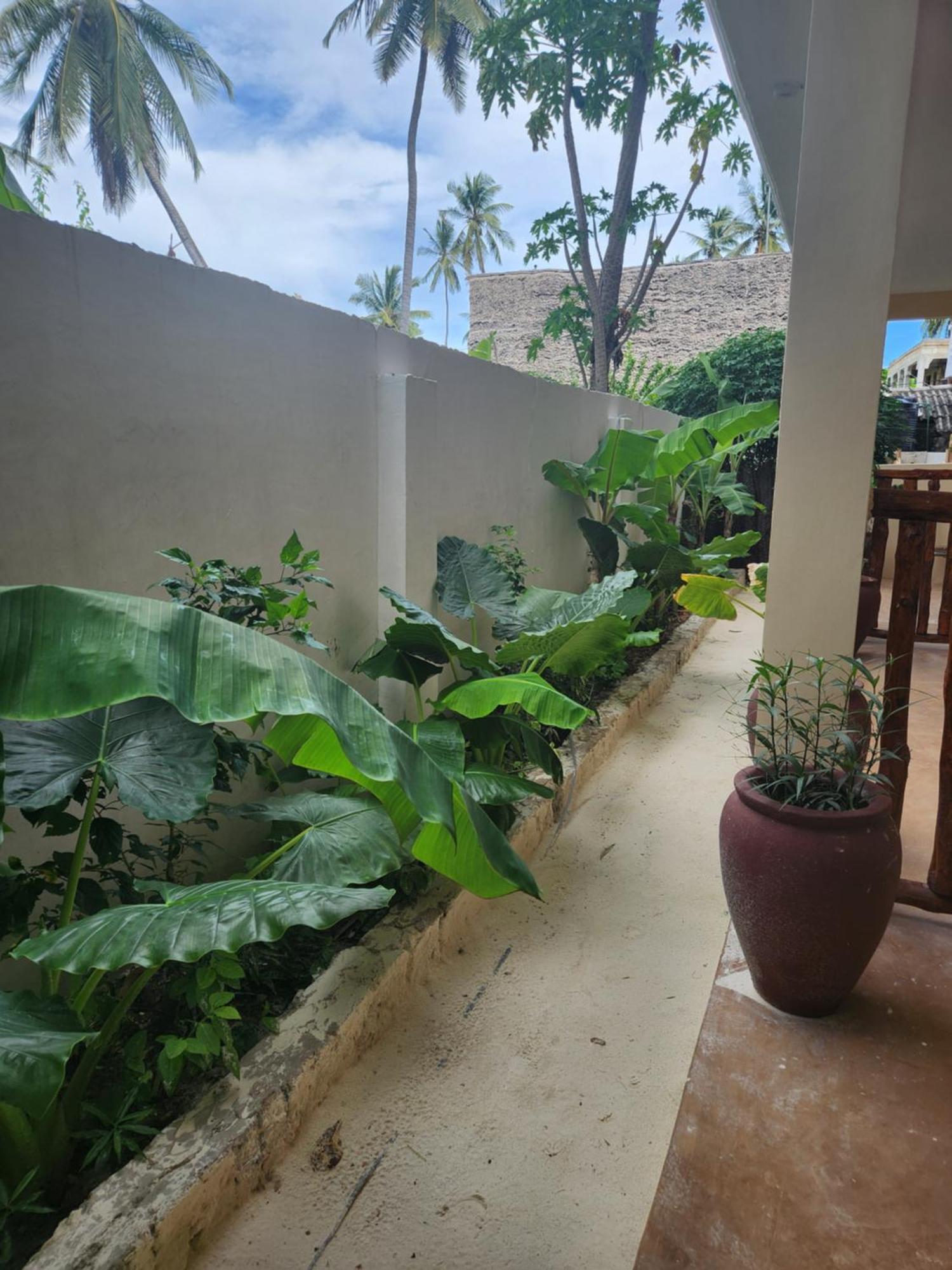 Hotel Two Palms à Jambiani  Extérieur photo