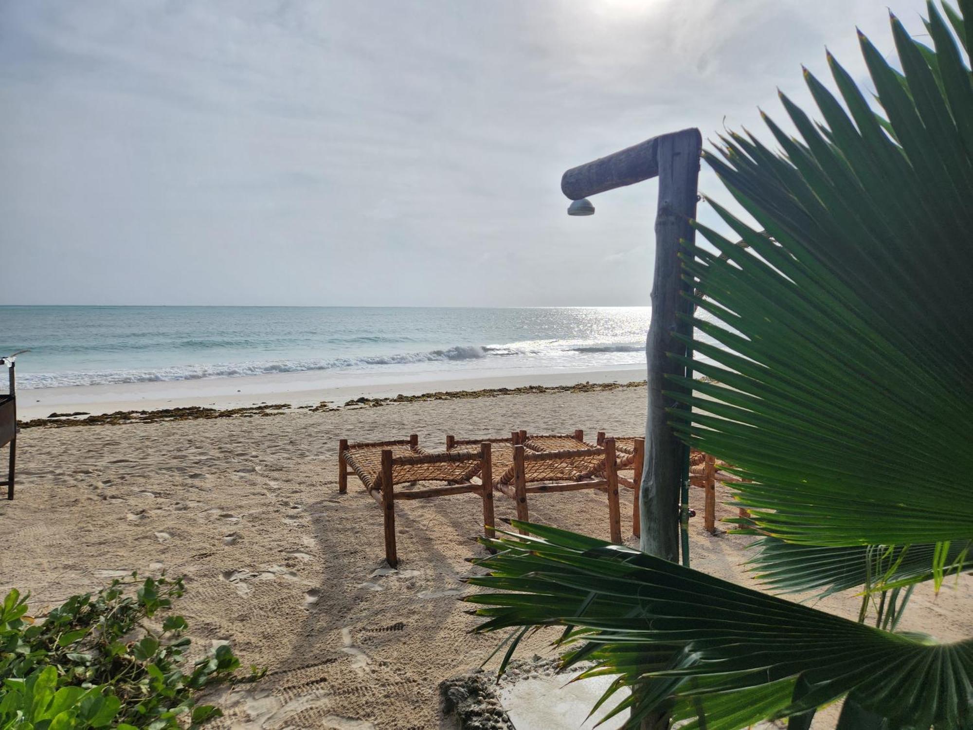 Hotel Two Palms à Jambiani  Extérieur photo
