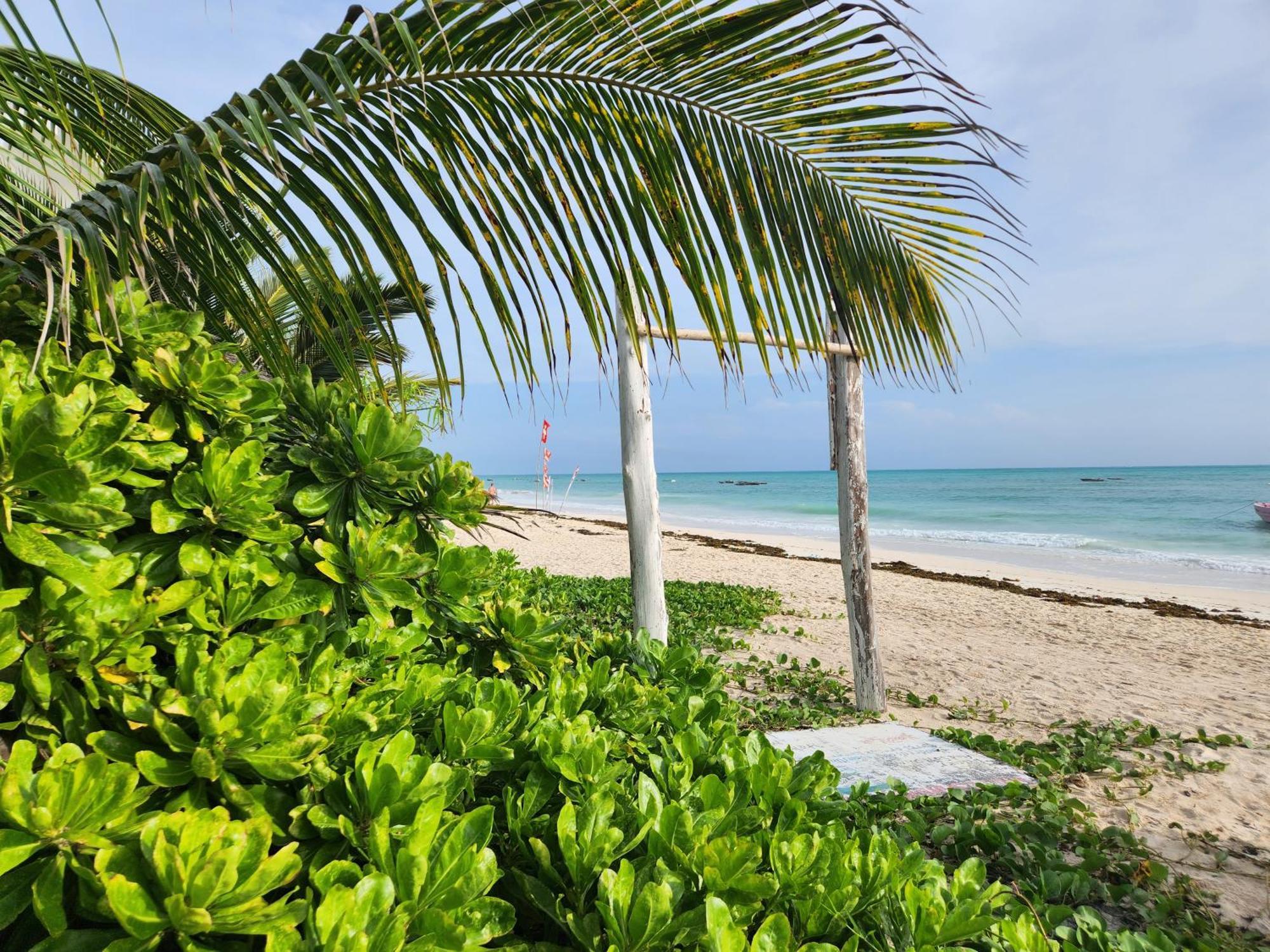 Hotel Two Palms à Jambiani  Extérieur photo